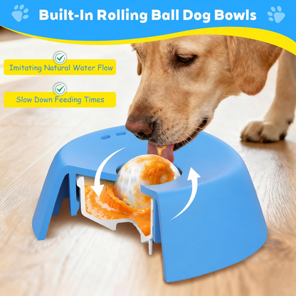 Dawdle Slow Bowl