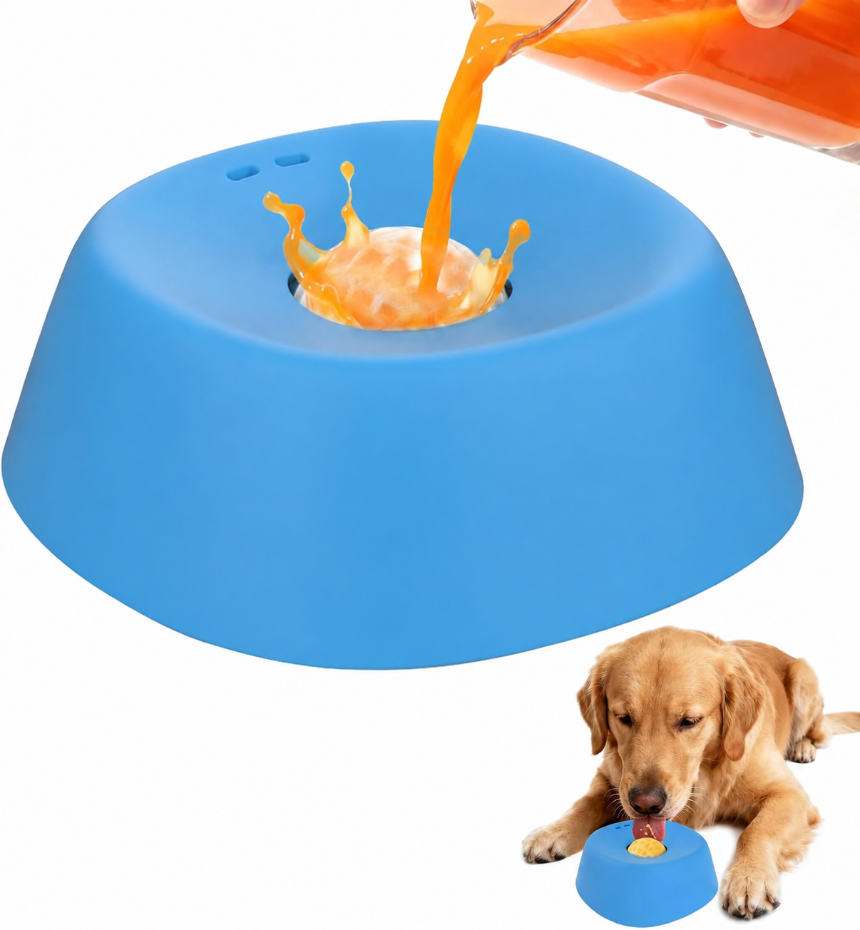 Dawdle Slow Bowl